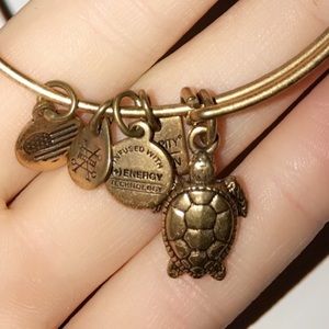 Alex and Ani Bracelet